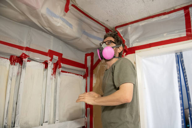 Best Post-Remediation Verification Testing  in El Cerro, NM