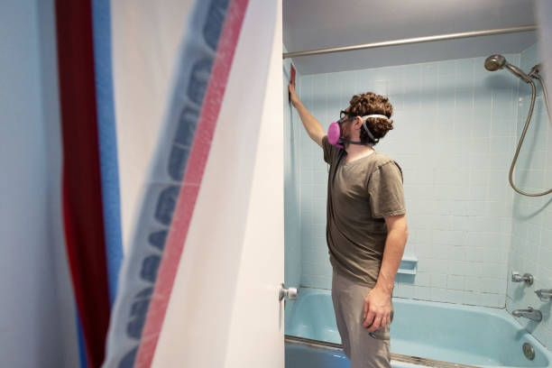 Best Mold Prevention Services  in El Cerro, NM