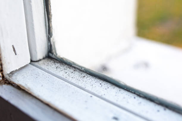 Best Indoor Air Quality Assessment  in El Cerro, NM