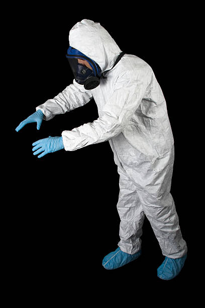 Trusted El Cerro, NM Mold Removal Experts