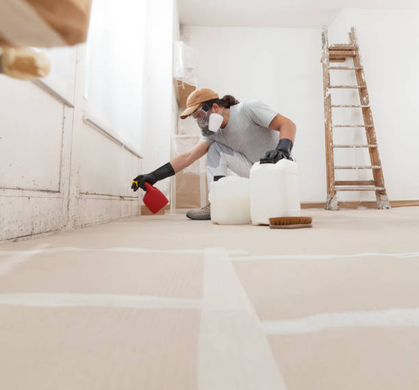 Environmental Consulting for Mold Prevention in El Cerro, NM
